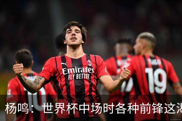 杨鸣：世界杯中场时各种前锋这渴了那饿了全来了 谁能记住后卫呢
